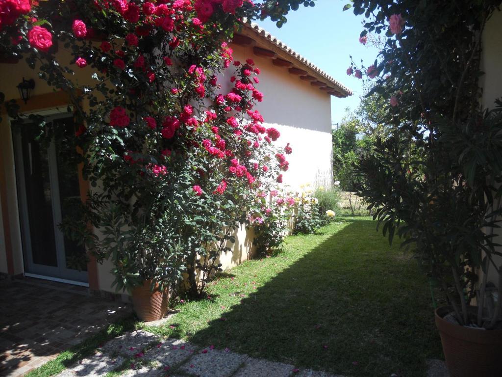 Le Jardin De Temeni Apartman Éjo Szoba fotó